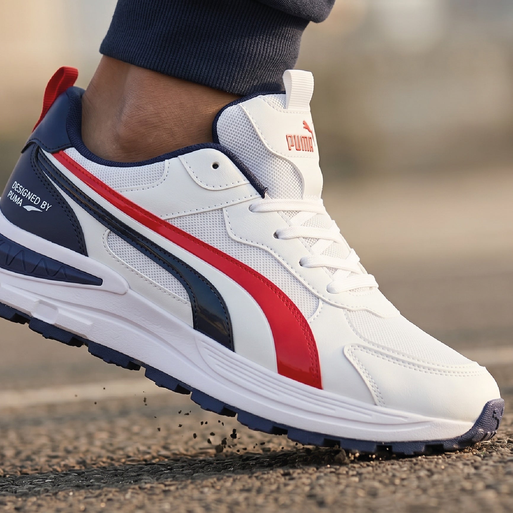Puma Morphic